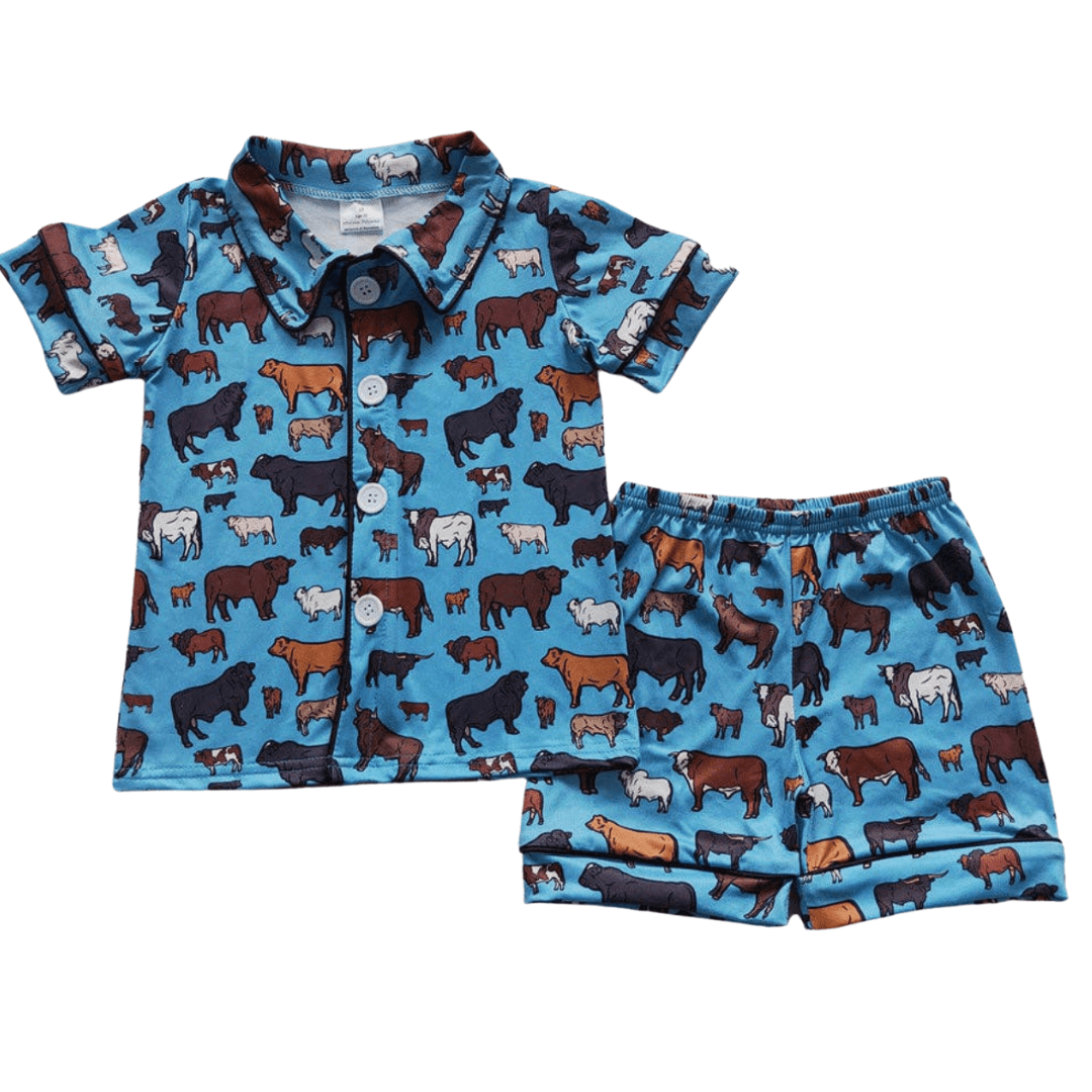 BLUE COW MOM AND ME PAJAMAS 2 piece Aier Size: 3-6 months