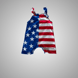 STARS AND STRIPES